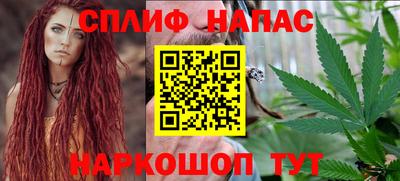 СК Будённовск