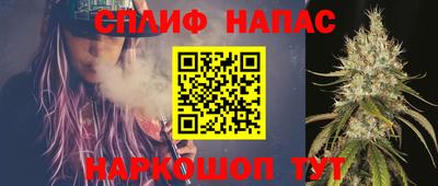 СК Будённовск