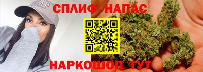 СК Будённовск