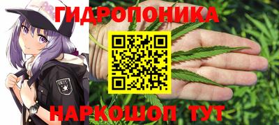 СК Будённовск