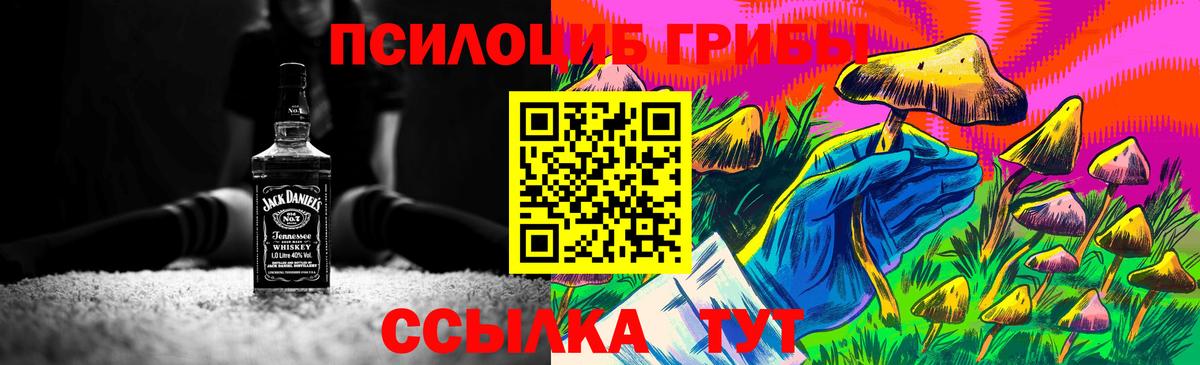 Галлюциногенные грибы мицелий Слободской