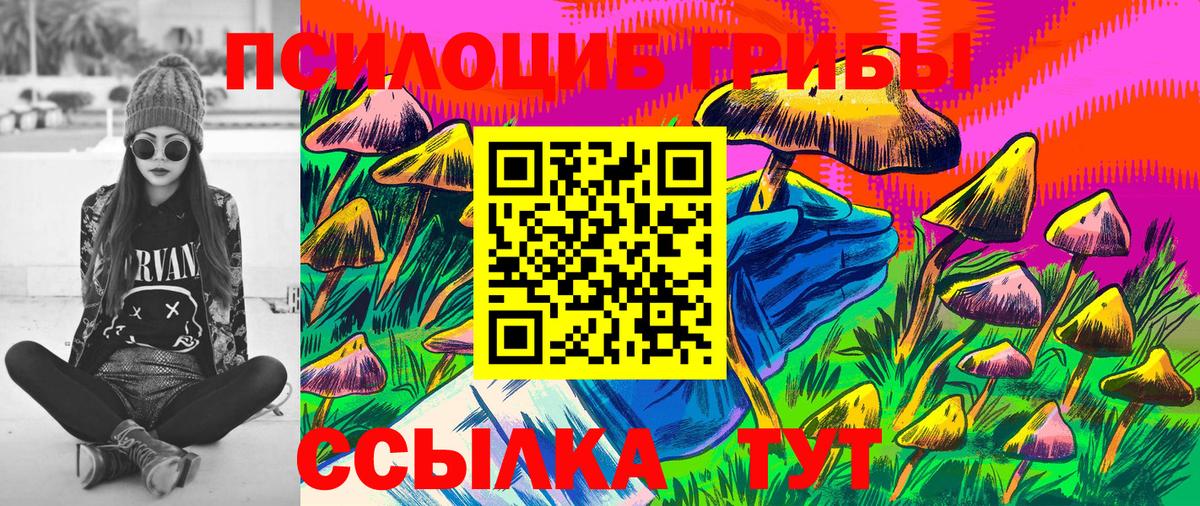 Слободской  Галлюциногенные грибы прущие грибы  Вход с VPN 